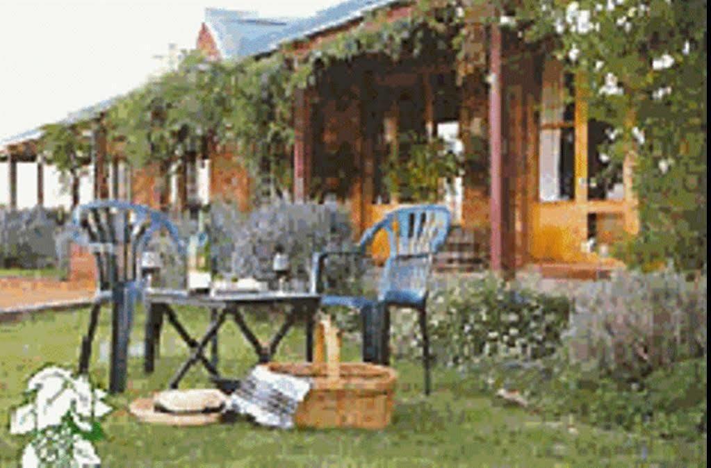 The Vineyard Motel Cowra Exterior photo